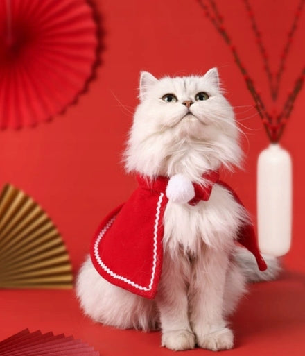 Dollcini Karácsonyi Cicaruha – Ünnepi Jelmez, Több Változatban